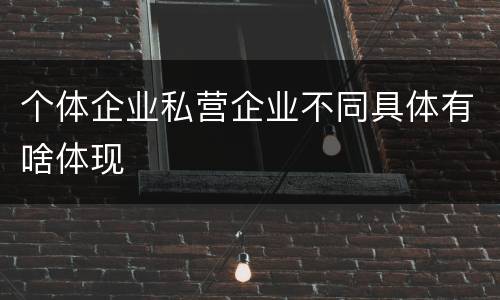个体企业私营企业不同具体有啥体现
