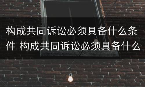 构成共同诉讼必须具备什么条件 构成共同诉讼必须具备什么条件才能立案