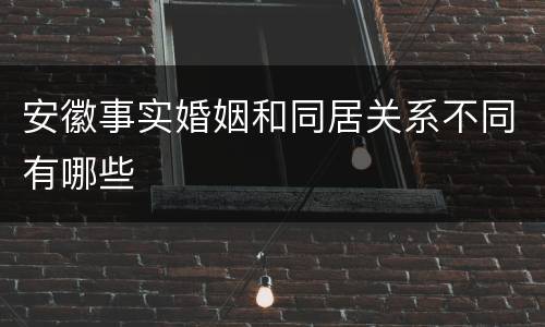 安徽事实婚姻和同居关系不同有哪些