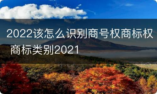 2022该怎么识别商号权商标权 商标类别2021