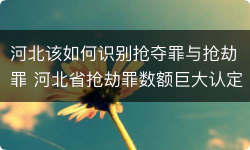 河北该如何识别抢夺罪与抢劫罪 河北省抢劫罪数额巨大认定标准