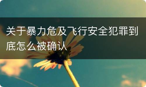 关于暴力危及飞行安全犯罪到底怎么被确认