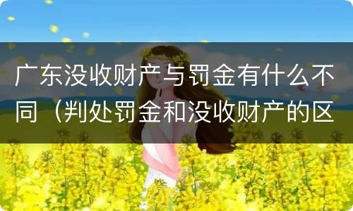 广东没收财产与罚金有什么不同（判处罚金和没收财产的区别）
