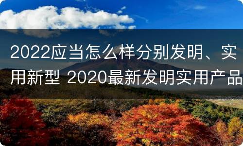 2022应当怎么样分别发明、实用新型 2020最新发明实用产品