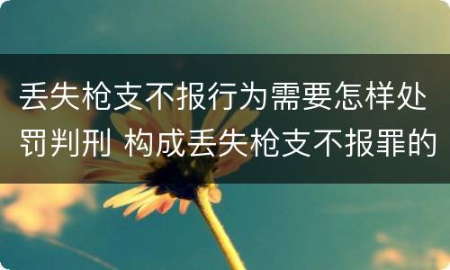 丢失枪支不报行为需要怎样处罚判刑 构成丢失枪支不报罪的行为