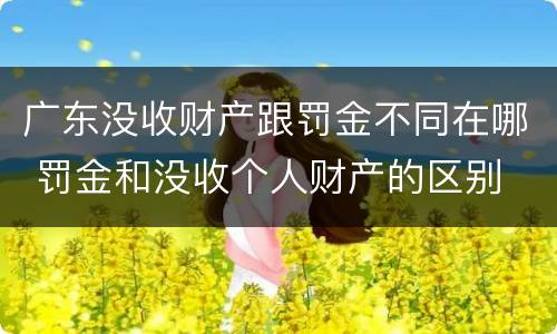 广东没收财产跟罚金不同在哪 罚金和没收个人财产的区别