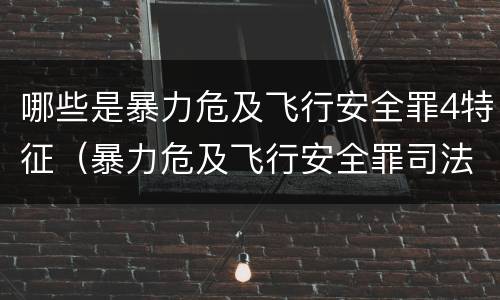 哪些是暴力危及飞行安全罪4特征（暴力危及飞行安全罪司法解释）