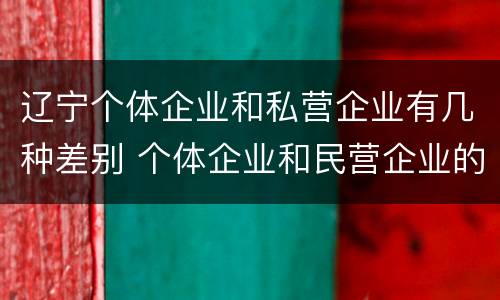 辽宁个体企业和私营企业有几种差别 个体企业和民营企业的区别