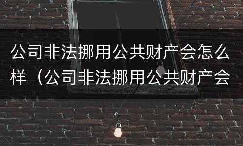 公司非法挪用公共财产会怎么样（公司非法挪用公共财产会怎么样呢）