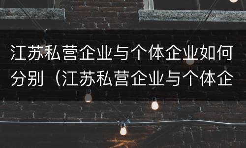 江苏私营企业与个体企业如何分别（江苏私营企业与个体企业如何分别交社保）