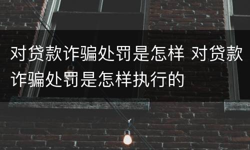 对贷款诈骗处罚是怎样 对贷款诈骗处罚是怎样执行的