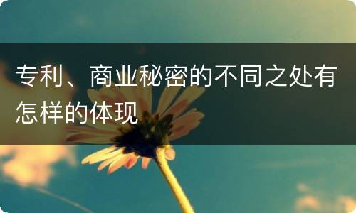 专利、商业秘密的不同之处有怎样的体现