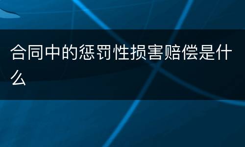 合同中的惩罚性损害赔偿是什么