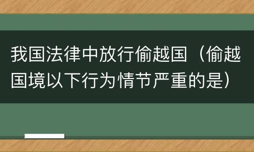 我国法律中放行偷越国（偷越国境以下行为情节严重的是）