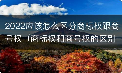 2022应该怎么区分商标权跟商号权（商标权和商号权的区别）
