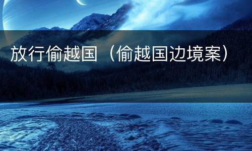 放行偷越国（偷越国边境案）