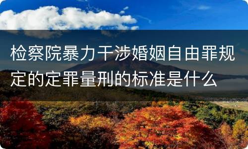 检察院暴力干涉婚姻自由罪规定的定罪量刑的标准是什么