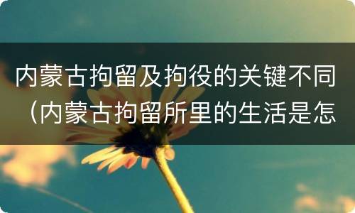 内蒙古拘留及拘役的关键不同（内蒙古拘留所里的生活是怎么样的）