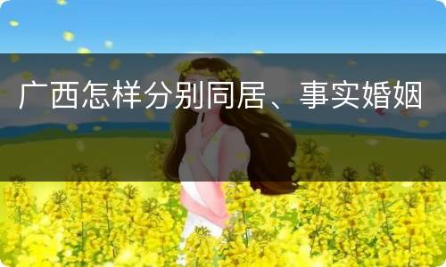 广西怎样分别同居、事实婚姻