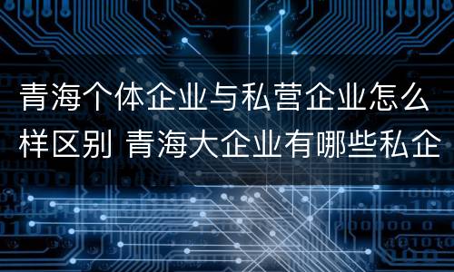 青海个体企业与私营企业怎么样区别 青海大企业有哪些私企