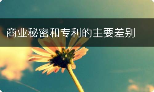 商业秘密和专利的主要差别