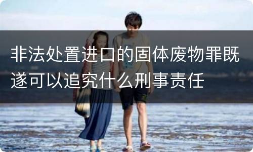 非法处置进口的固体废物罪既遂可以追究什么刑事责任