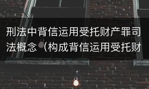 刑法中背信运用受托财产罪司法概念（构成背信运用受托财产罪的立案标准是）