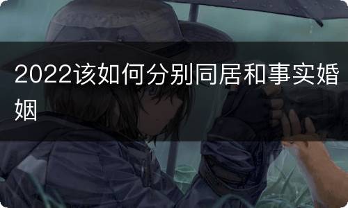 2022该如何分别同居和事实婚姻