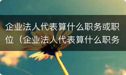 企业法人代表算什么职务或职位（企业法人代表算什么职务或职位呢）