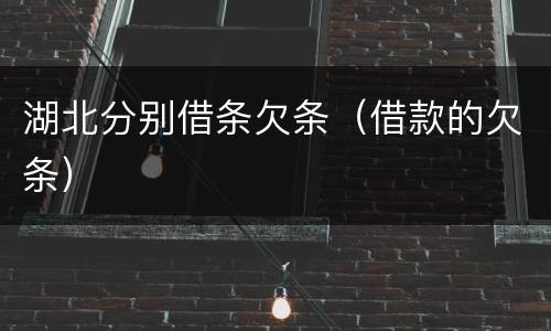 湖北分别借条欠条（借款的欠条）