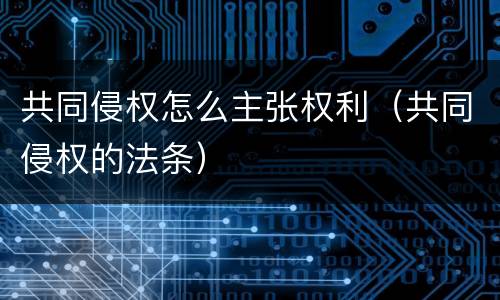 共同侵权怎么主张权利（共同侵权的法条）