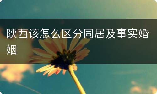 陕西该怎么区分同居及事实婚姻