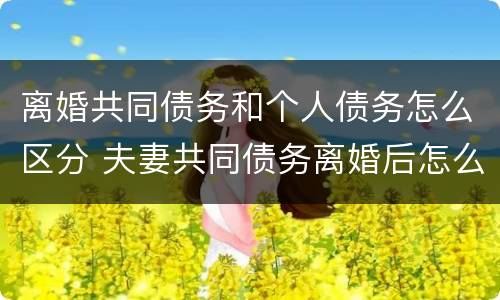 离婚共同债务和个人债务怎么区分 夫妻共同债务离婚后怎么划分