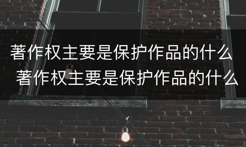 著作权主要是保护作品的什么 著作权主要是保护作品的什么权利