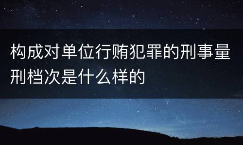 构成对单位行贿犯罪的刑事量刑档次是什么样的