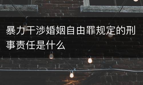 暴力干涉婚姻自由罪规定的刑事责任是什么