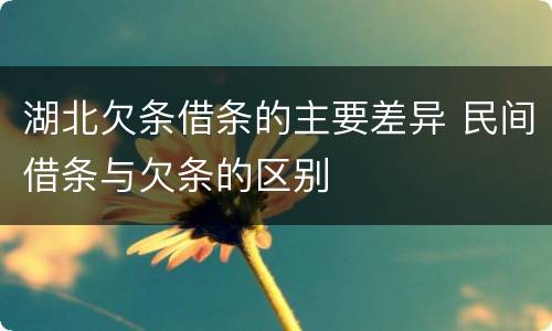 湖北欠条借条的主要差异 民间借条与欠条的区别