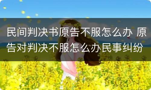 民间判决书原告不服怎么办 原告对判决不服怎么办民事纠纷