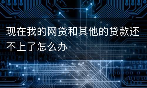 现在我的网贷和其他的贷款还不上了怎么办