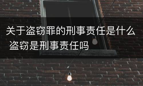 关于盗窃罪的刑事责任是什么 盗窃是刑事责任吗