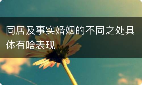 同居及事实婚姻的不同之处具体有啥表现