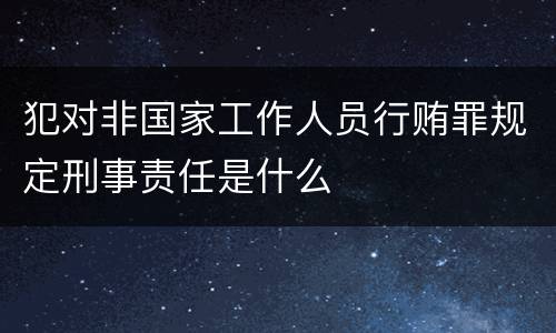 犯对非国家工作人员行贿罪规定刑事责任是什么