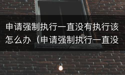 申请强制执行一直没有执行该怎么办（申请强制执行一直没有执行该怎么办理）