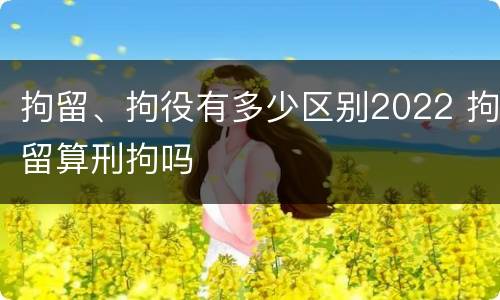 拘留、拘役有多少区别2022 拘留算刑拘吗