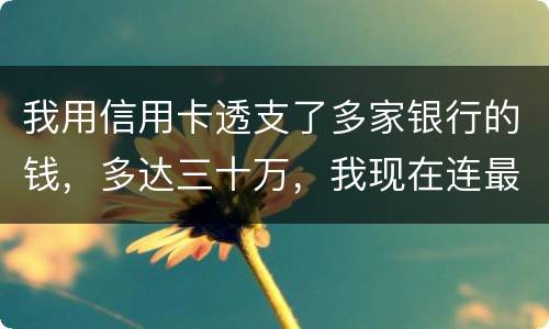 我用信用卡透支了多家银行的钱，多达三十万，我现在连最低还款都还不上，我该怎么办
