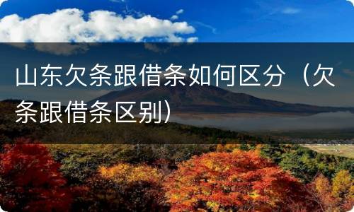 山东欠条跟借条如何区分（欠条跟借条区别）