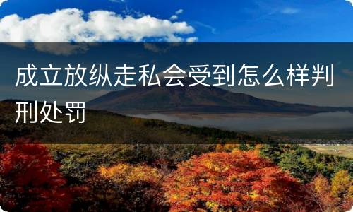 成立放纵走私会受到怎么样判刑处罚