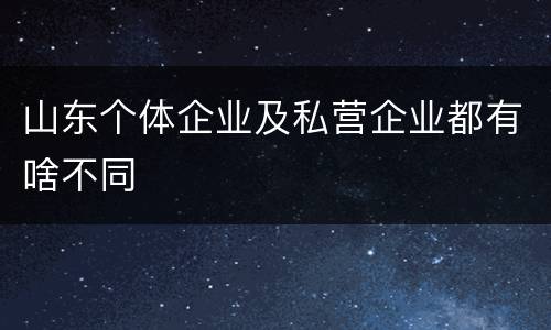 山东个体企业及私营企业都有啥不同