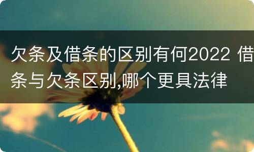 欠条及借条的区别有何2022 借条与欠条区别,哪个更具法律