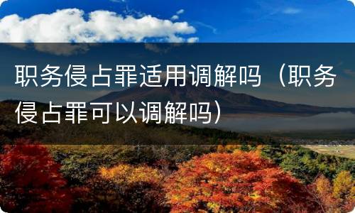 职务侵占罪适用调解吗（职务侵占罪可以调解吗）